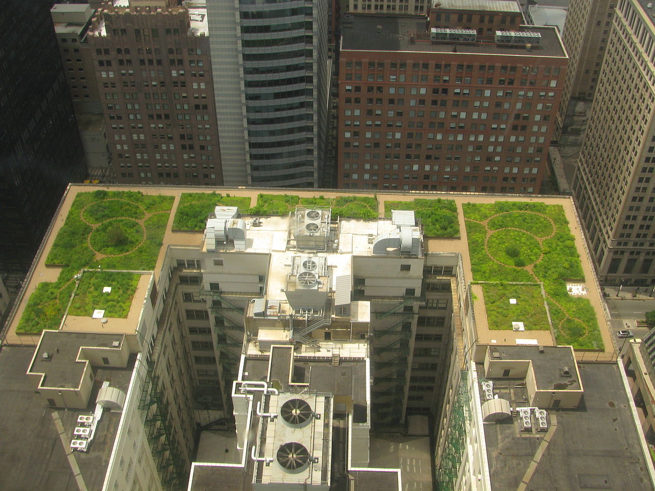 Green roof of Chicago City Hall