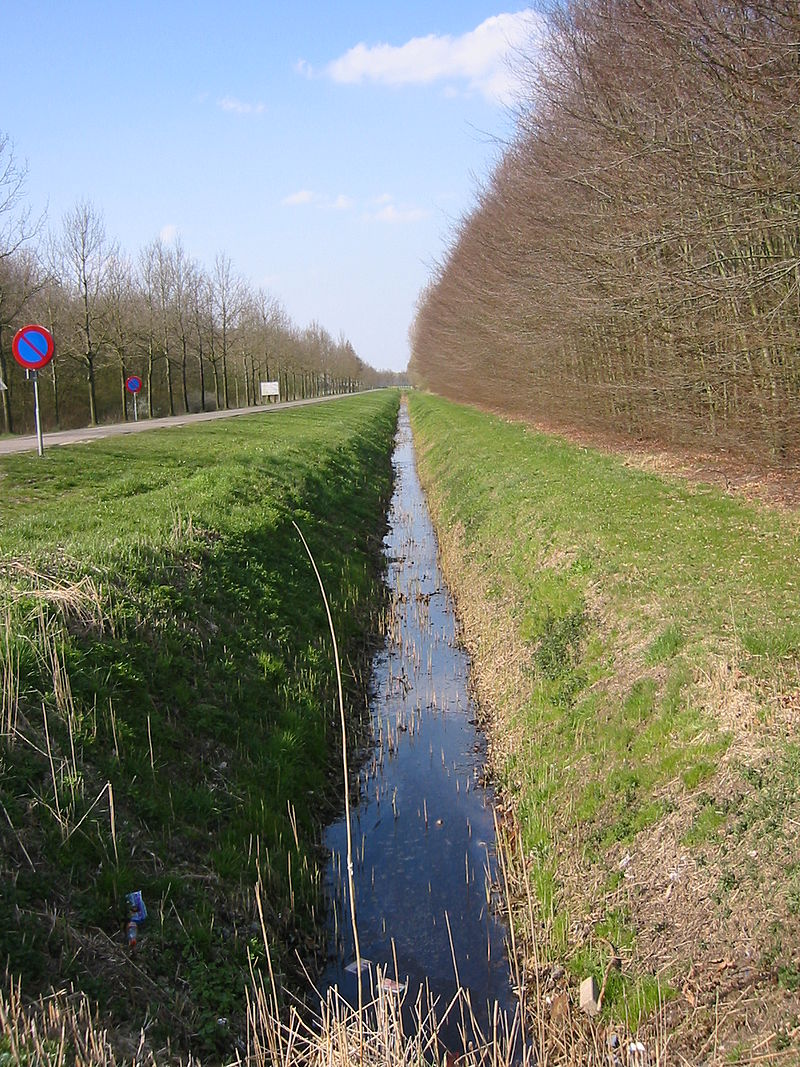 A well maintained ditch in the Netherlands