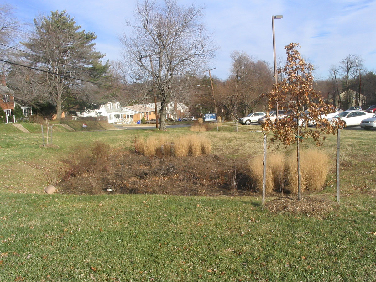 A bioretention cell, also called a rain garden in the United States