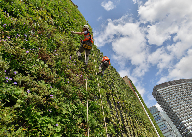 London's largest living wall will "combat flooding"