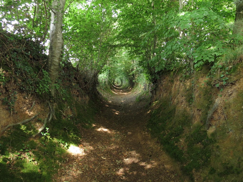 A hollow way (chemin creux) at La Meauffe, Manche, France