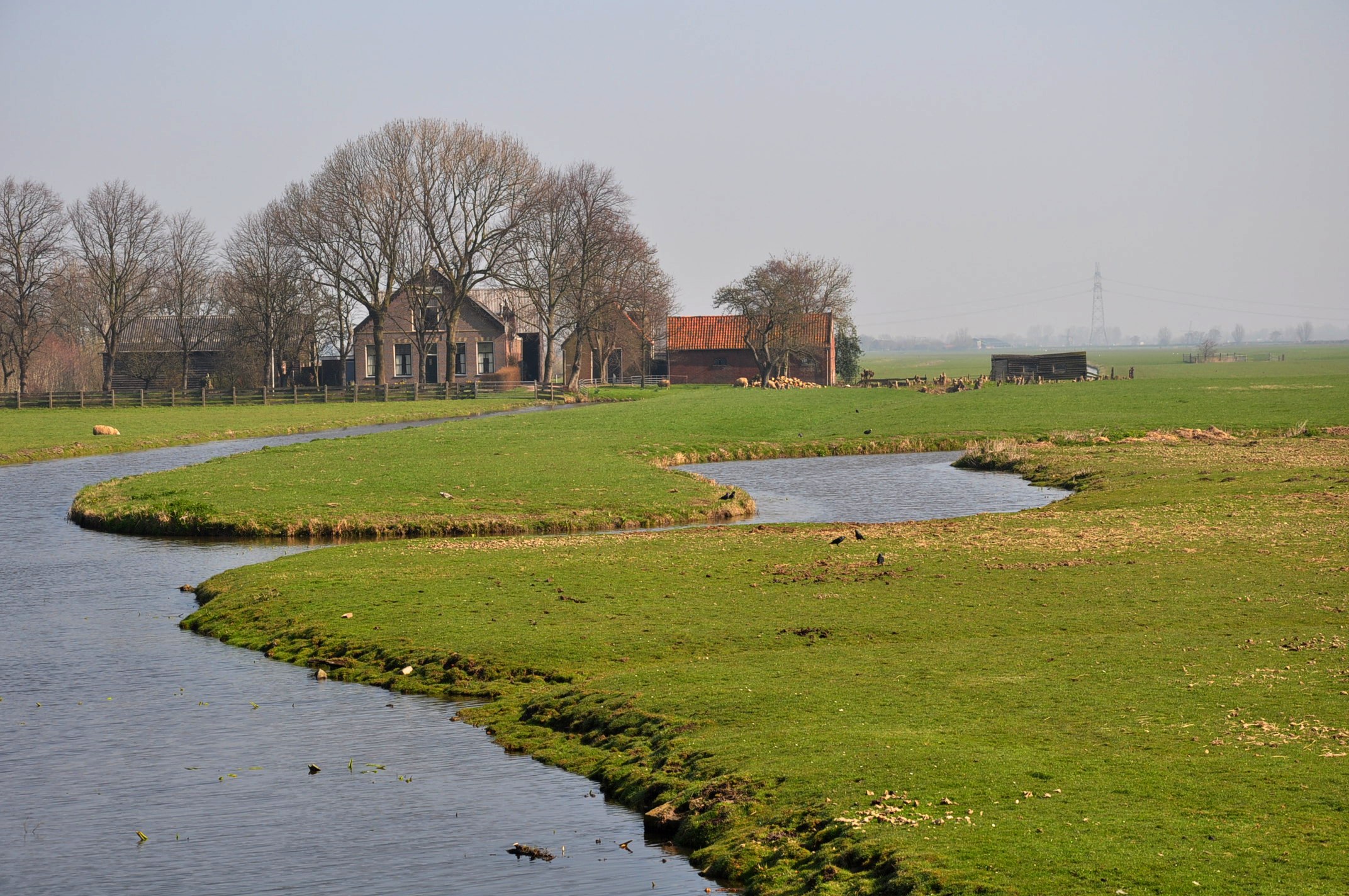 The Achthoven Polder in the municipality of Leiderdorp (a few km east of Leiden, South Holland, Netherlands)