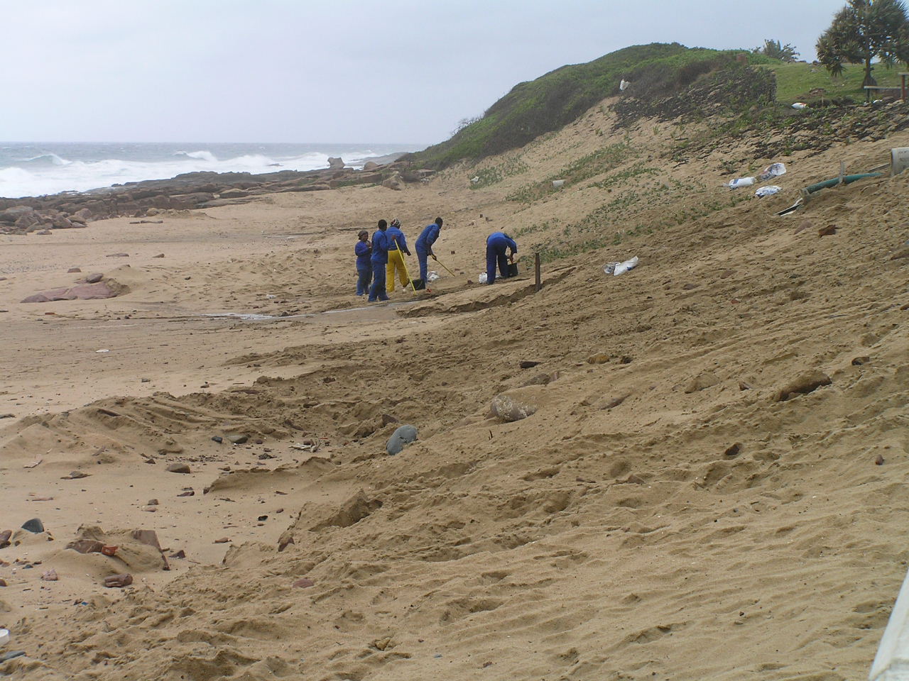 Park Rynnie – Coastal dune rehabilitation works completion and vegetation of the dune